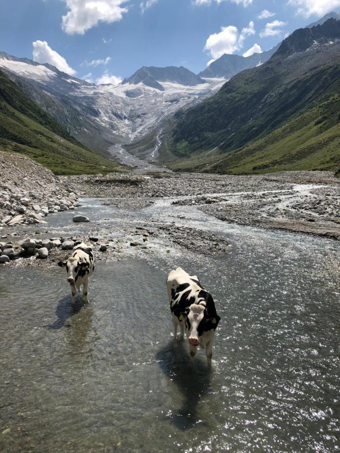 Landhaus Zillertal Ramsau im Zillertal Luaran gambar