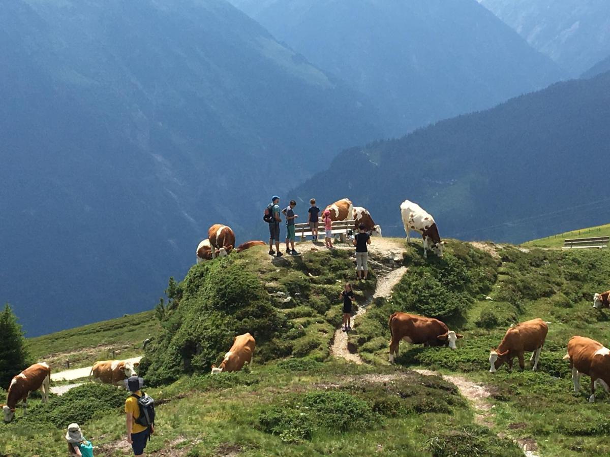 Landhaus Zillertal Ramsau im Zillertal Luaran gambar