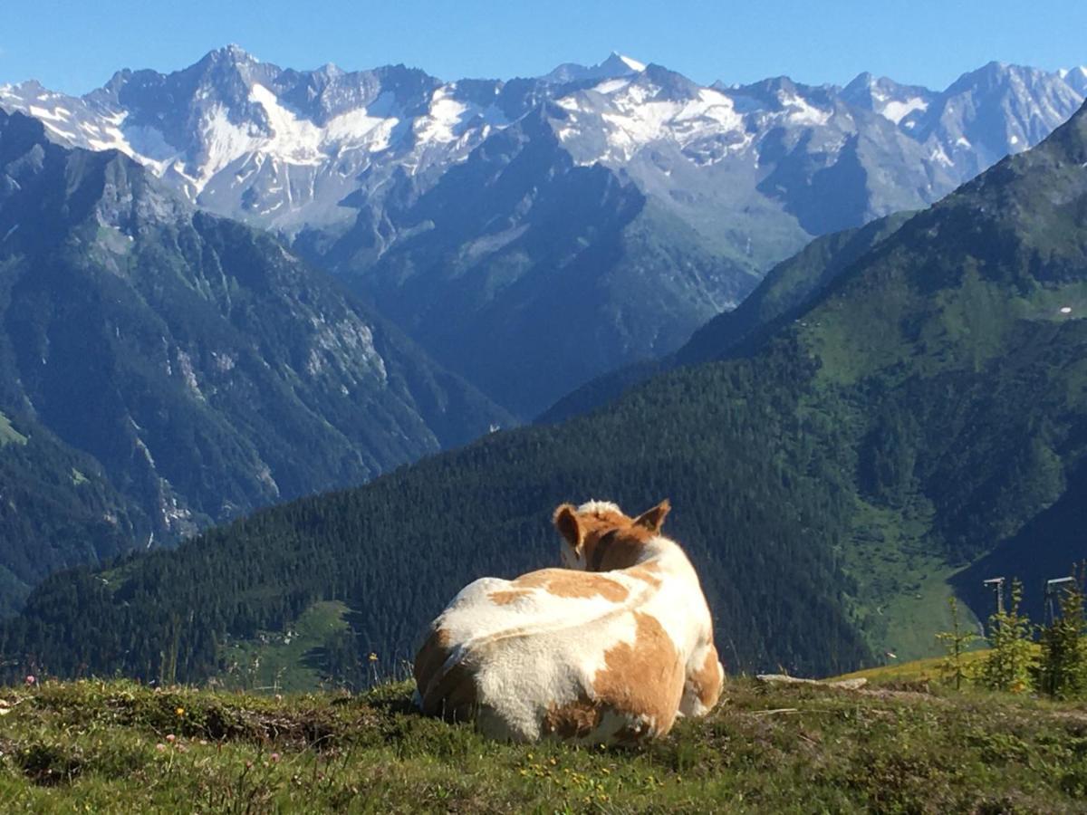 Landhaus Zillertal Ramsau im Zillertal Luaran gambar