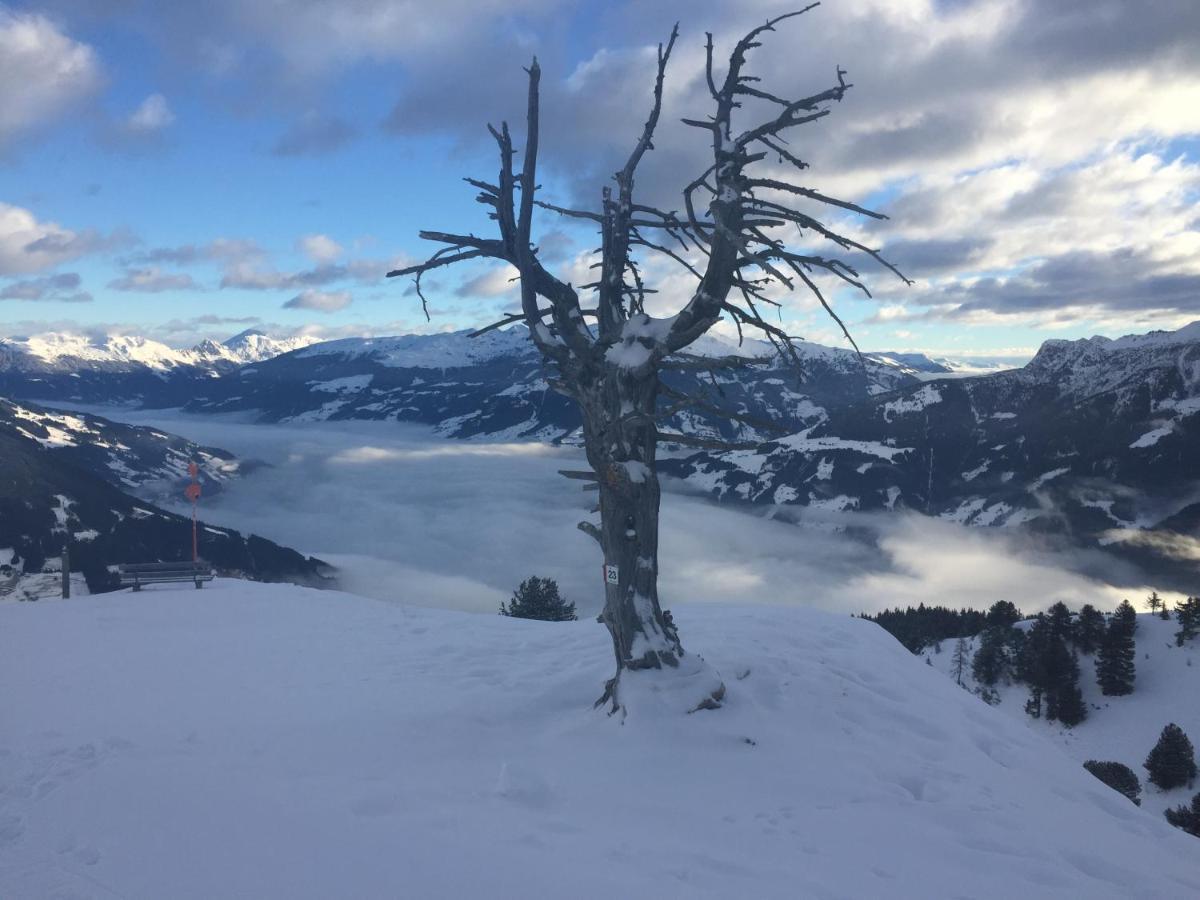 Landhaus Zillertal Ramsau im Zillertal Luaran gambar